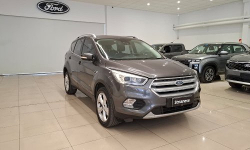 WhatsApp Image 2026-02-20 at 16.30.50